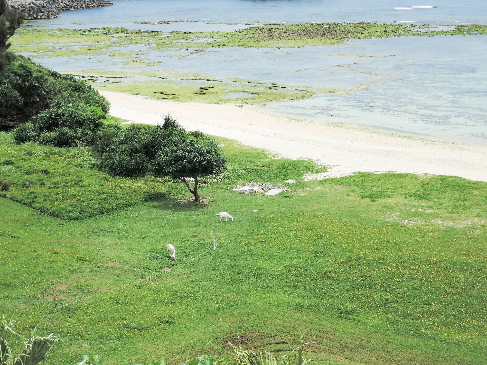 莫里马尔度假公寓 读谷村 外观 照片